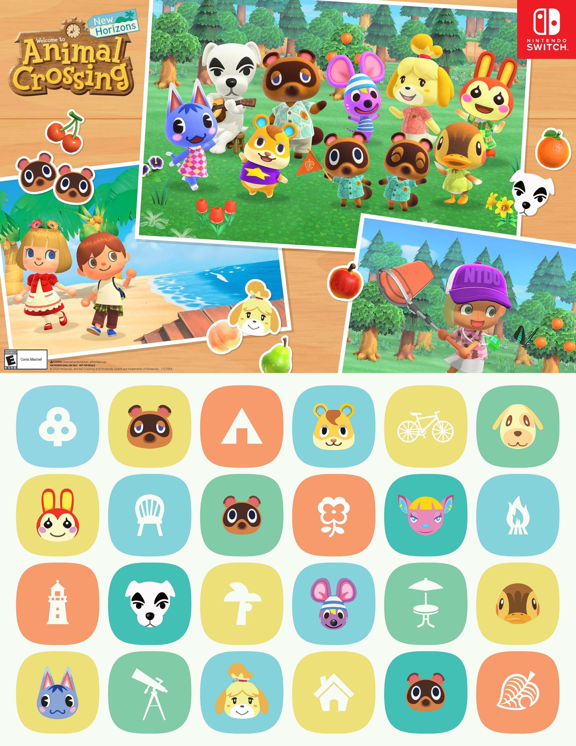 Animal Crossing: New Horizons - Special Editions [COMPARED]