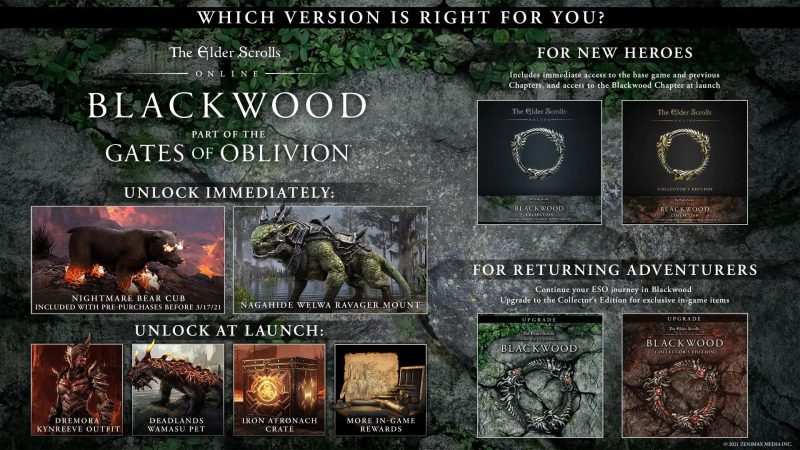The Elder Scrolls Online Blackwood Pre Order Bonuses